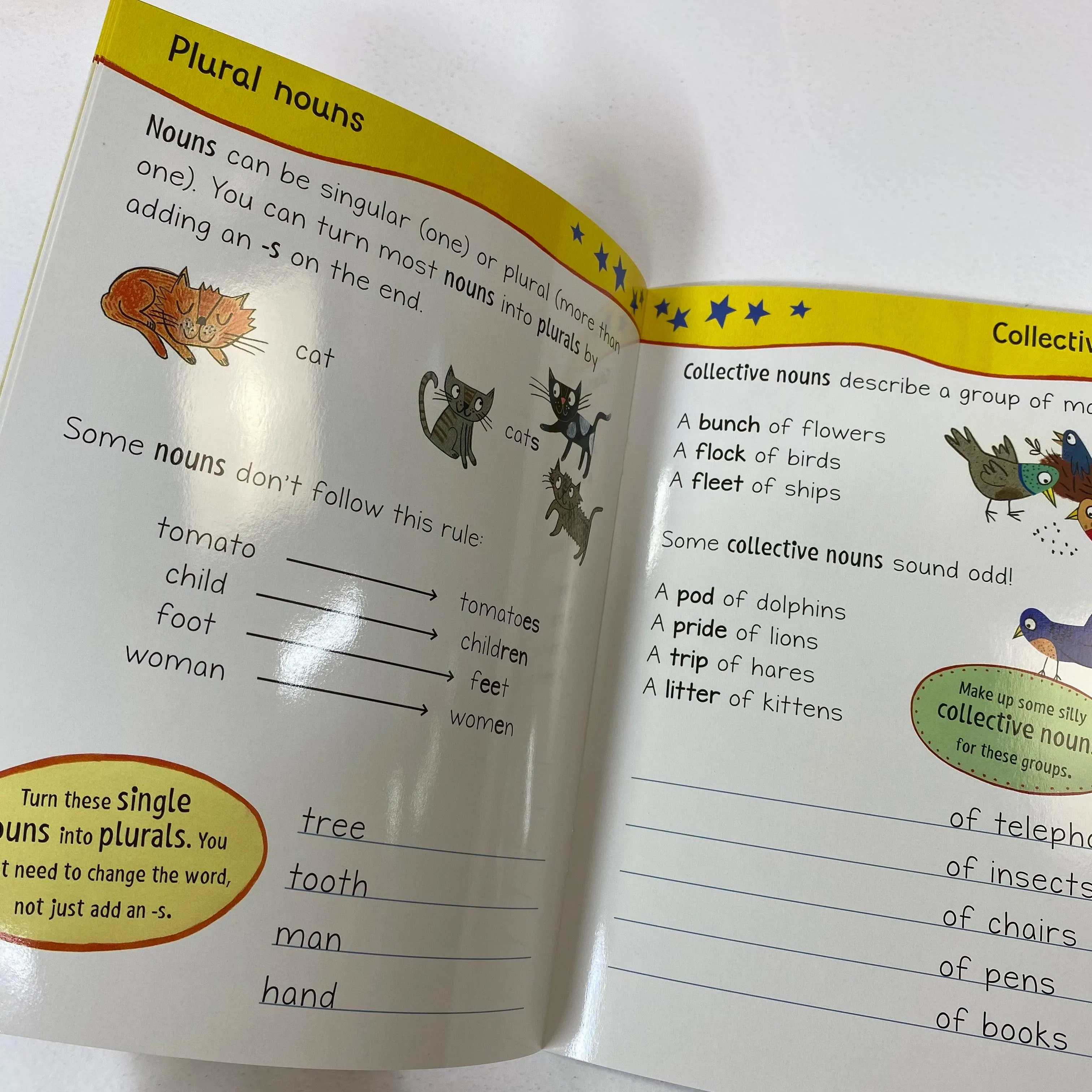 Get Set Go Grammar - Nouns ( Wipe-Clean)