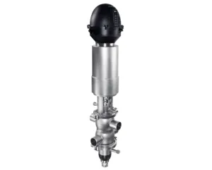 Pazzini 900 Mixproof Double Seat Valves