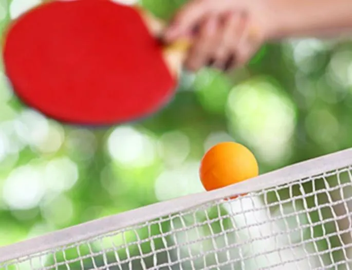 Portable Table Tennis Set