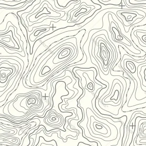 White w/ Black Lined Topography Pattern